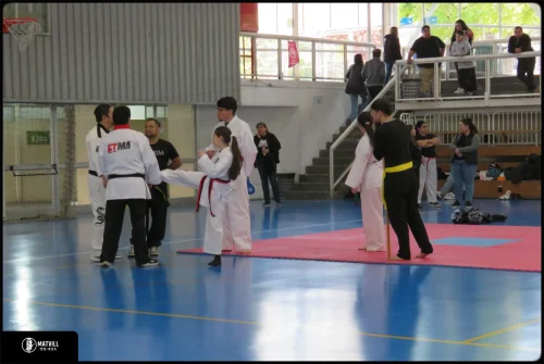 IMG 0637 (1)