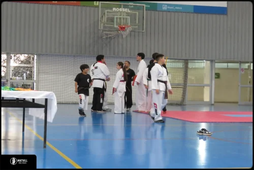 IMG 0644 (1)