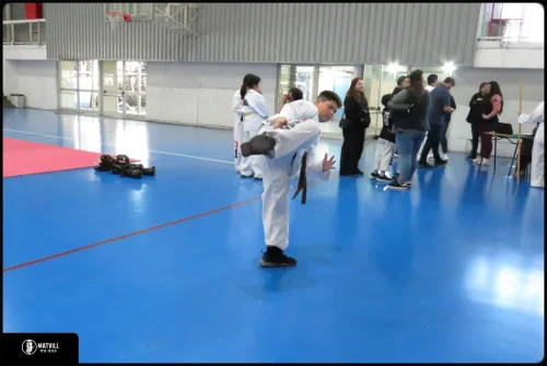 IMG 0670 (1)