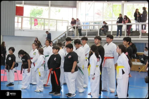 IMG 0707 (1)