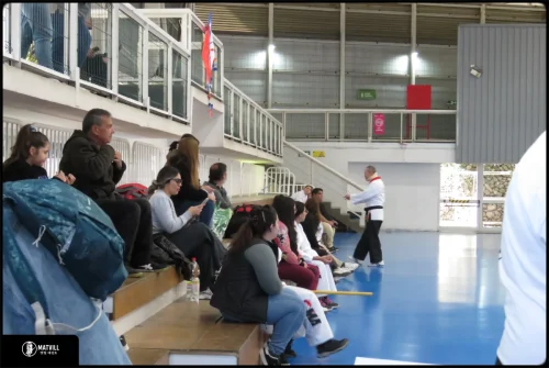 IMG 0805 (1)